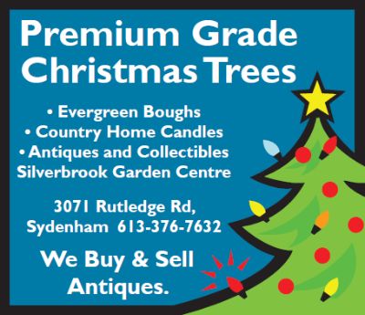 Premium Grade Christmas Trees - 3071 Rutledge Rd. 613-376-7632