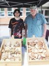 Mitchell and Mark Revelle had their mushrooms front and centre for the opening of the Frontenac Farmers Market at Prince Charles School in Verona Saturday. Photo/Craig Bakay