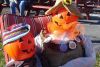 Farmers celebrate fall harvest at Battersea Pumpkin Festival