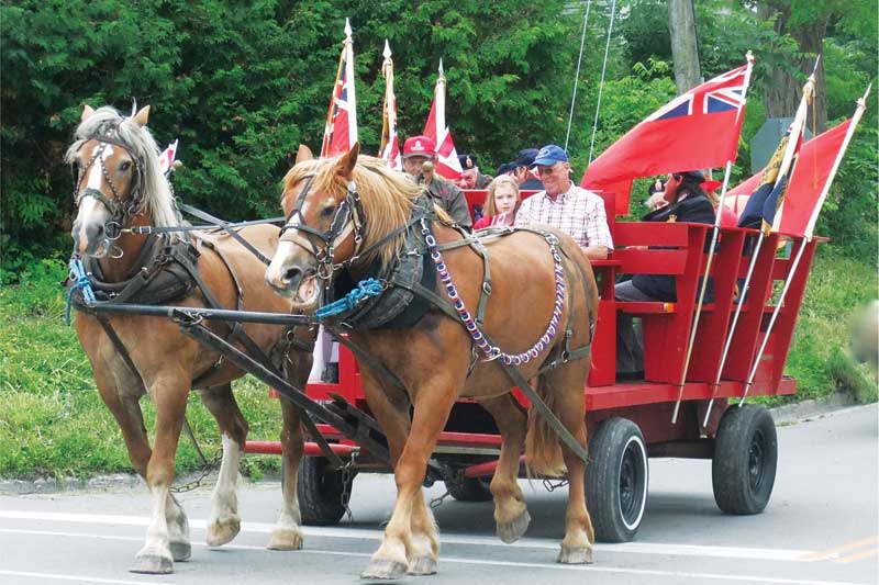 15 26 canada day sydenham