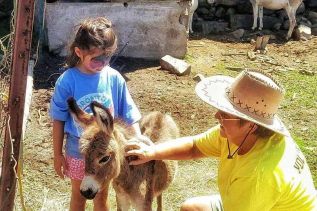 Taylor Smith from Toronto (girl), Wendy Parliament & Hanny (donkey foal)