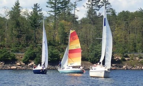 Three Mazinaw boats sail in close company with a backdrop of broken trees.  Photo by Lynda Dunal.
