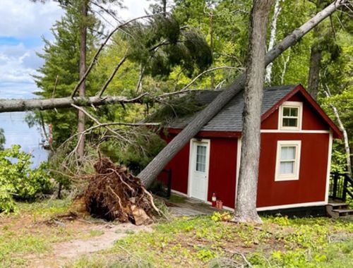 Damage from the May 21 windstorm.