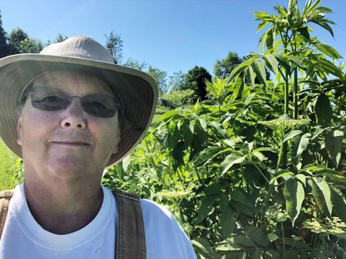 Dorothy Hector, Brass Point Farm.