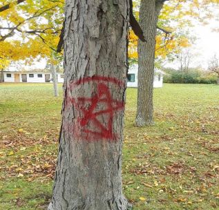 Public Assistance Needed To Identify Person Responsible For Graffiti