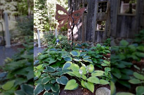 Detail from the Meyer garden, one of 7 on the tour