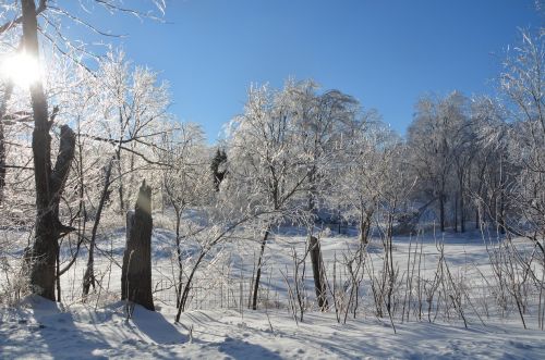 Silver, silver in the stars and gold in the morning sun
