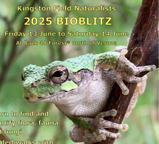 Bioblitz Coming This Week at Piccadilly Property