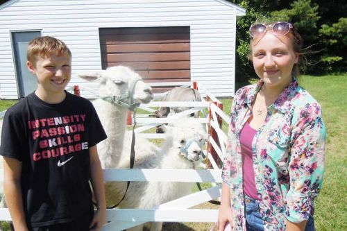 Gaven and Justine Miller, cottagers from New York, pet llama Breeze and alpaca Sir Prize of West Winds Ranch at the Frontenac Frolic fundraiser