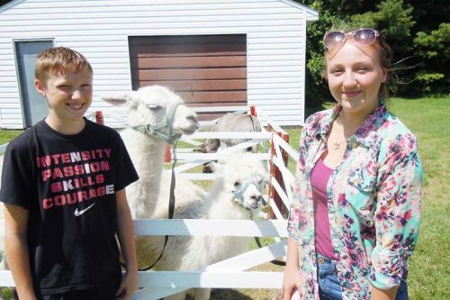 Gaven and Justine Miller, cottagers from New York, pet llama Breeze and alpaca Sir Prize of West Winds Ranch at the Frontenac Frolic fundraiser