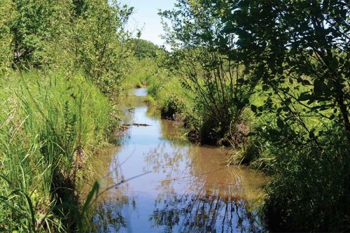 A challenging section of trail to be completed