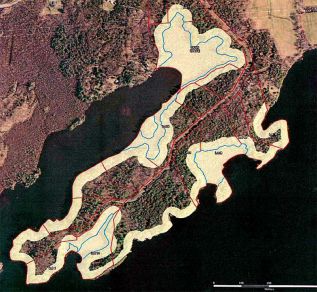 Mapping image Johnston Point – light area is wetland and/or the ribbon of life around Loughborough Lake.