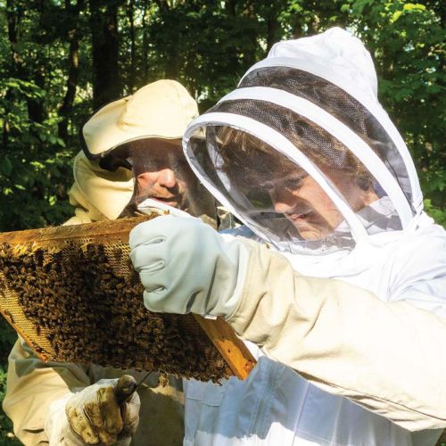Mark McCreedy provides a bee keeping experience at Mapleridge Farm, Sydenham.