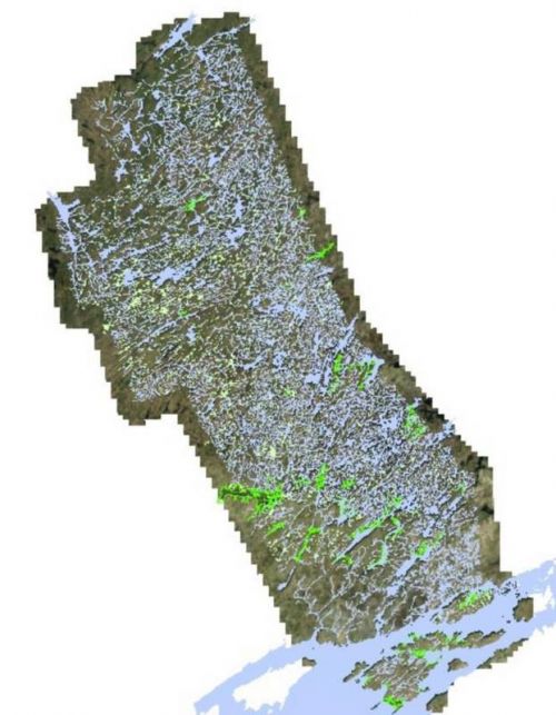 Lakes and creeks are in blue in the above map, agricultural lands are light green, and forest cover is dark green. Natural Features make up 73% of the 4,000 square kilometre land mass of Frontenac County.