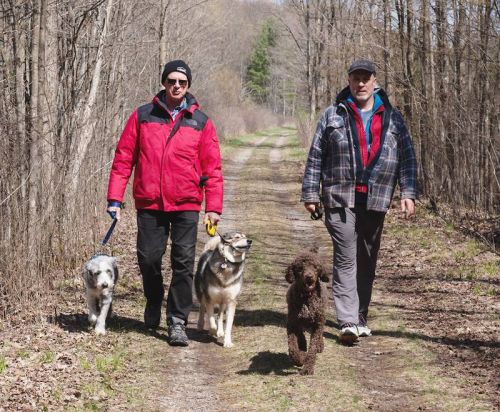 FRONTENAC, Ont. (22/04/2021) - Gord Janzen (red coat) and friend Mark Kotchapay are enjoying a walk on the Rideau Trail, which is shared with the Cataraqui Trail here, with their dogs on this sunny but cool Thursday afternoon on April 22. “It’s part of dealing with COVID,” says Kotchapay. “We call it forest therapy,” adds Janzen. Photo by Daniel Geleyn