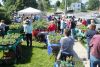 plant shoppers in Harrowsmith at the Grandmothers-by-the-Lake annual plant and bake sale that took place in Harrowsmith on May 31