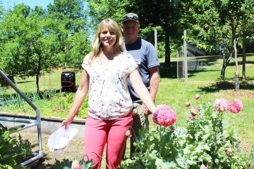 Sue and Robert Clinton in their backyard on Bedford Road. “The flowers are for the bees,” Sue said. Photo/Craig Bakay