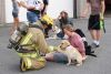 Gwenaelle Consell, a service dog foster handler, sits on the floor while her three-month-old Yellow Labrador, Gibson, happily takes a treat from Ryan Vivian in his fire suit and face mask.