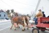 Cars on the Elphin-Maberly Road slowed when they saw this two-horse team pull out from the Maberly Hall and head to the fairgrounds during the Tay Bells Winter Celebration in Maberly on Saturday.