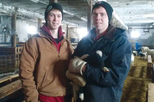 Adam and Craig in the barn